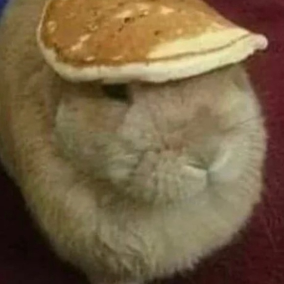 nullmoon